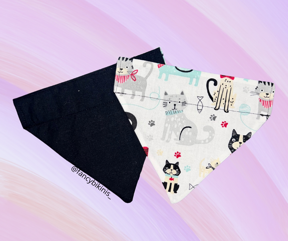Bandana Collar para Gato 🐈