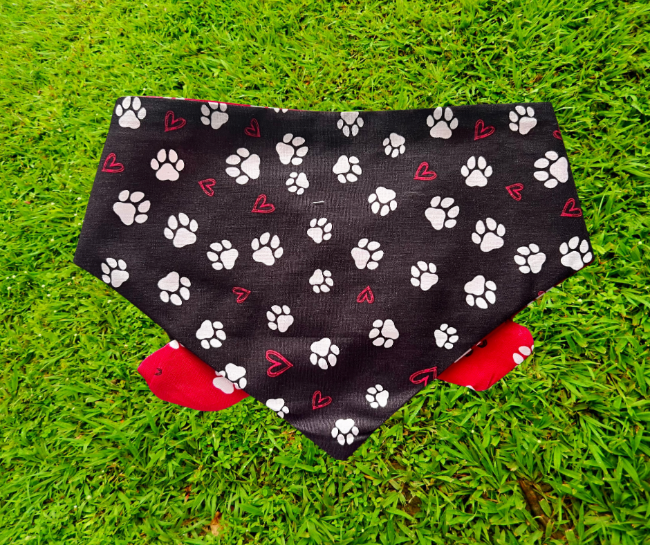 Bandana🐶