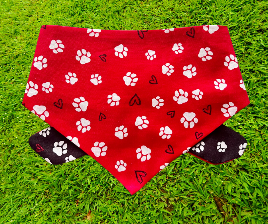 Bandana🐶
