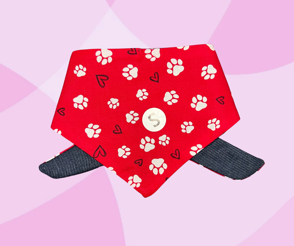 Bandana 🐶